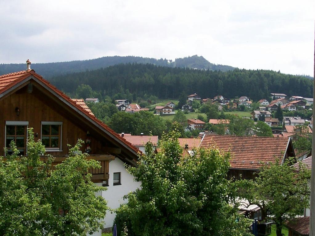 Ferienwohnungen Gstoettner Bodenmais Room photo